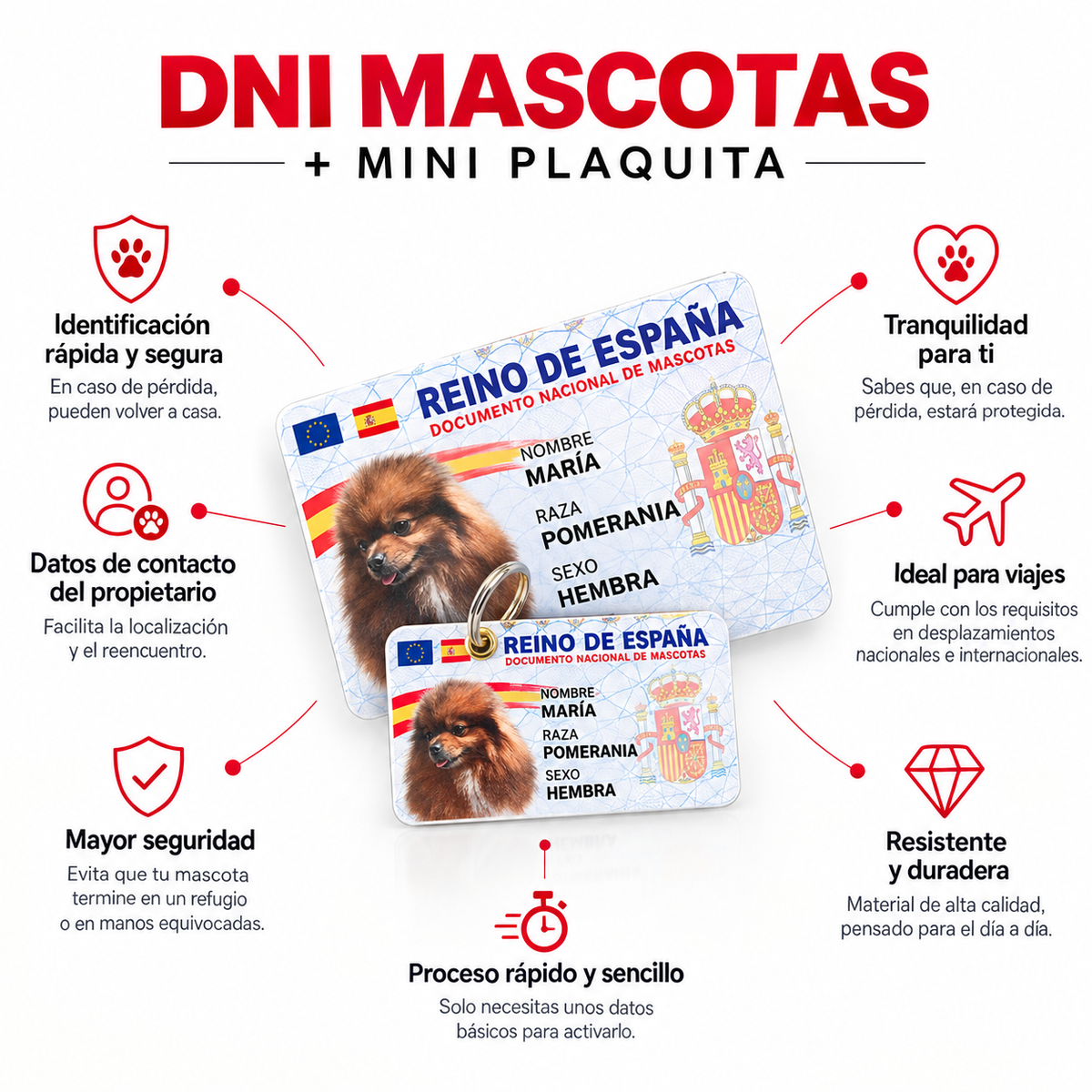DNI de billetera + mini plaquita (All-in-One)🇪🇸
