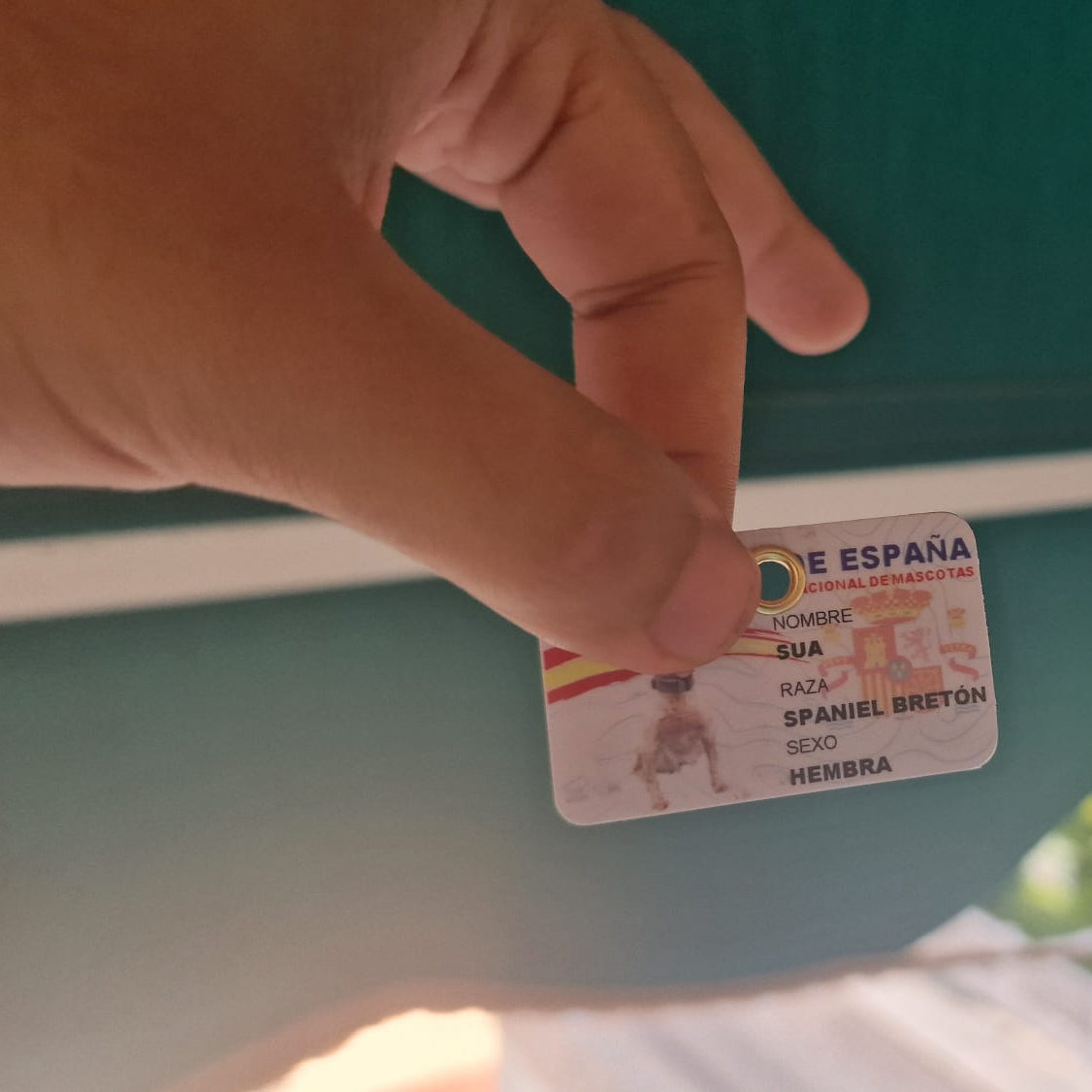 Plaquita mini-DNI 🇪🇸