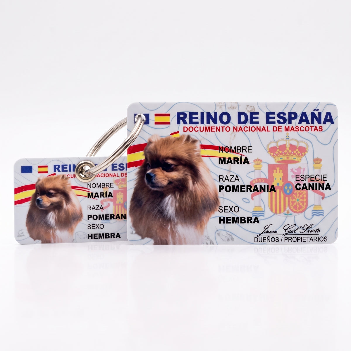 DNI de billetera + mini plaquita (All-in-One)🇪🇸